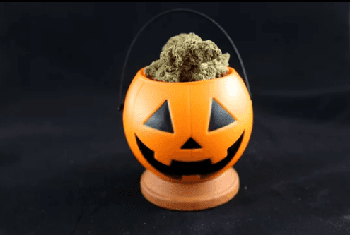 Halloween pumpkin cannabis image